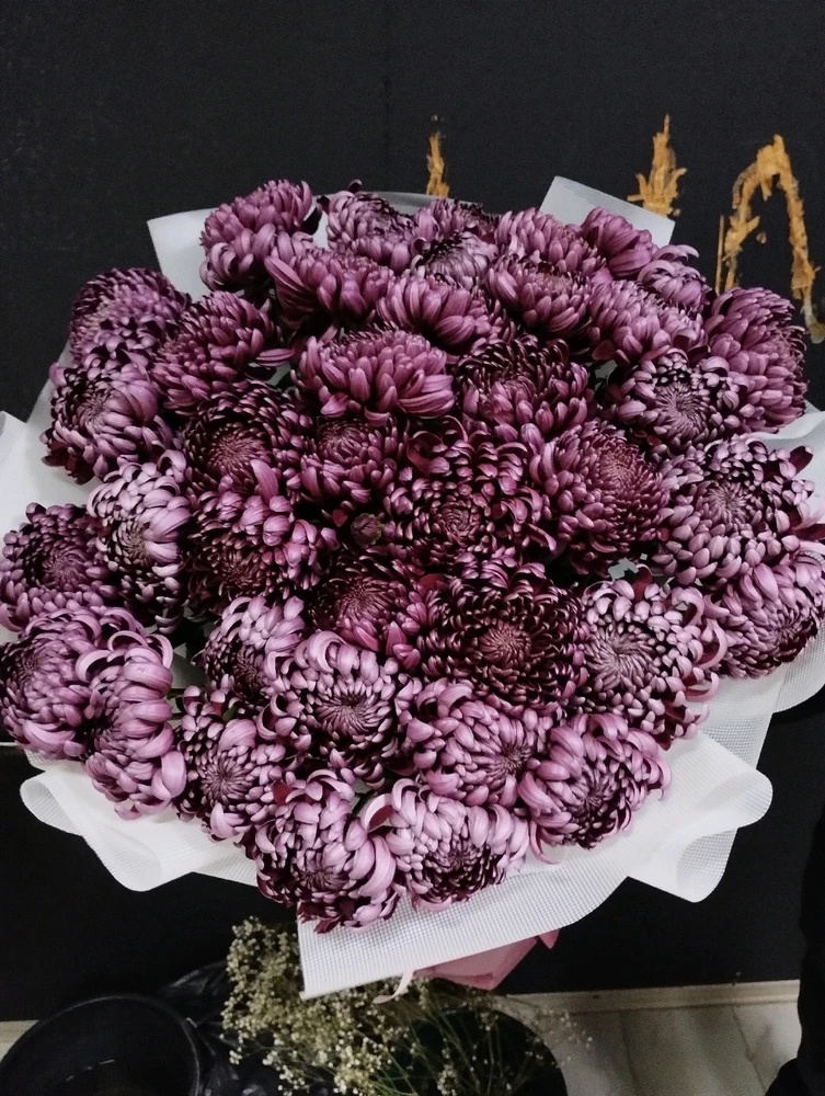 Зображення завантажив Rina Boss