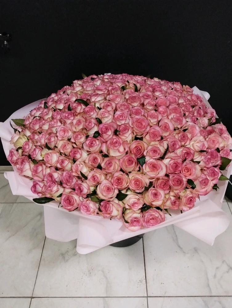 Зображення завантажив Rina Boss