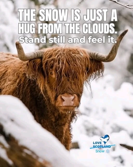 GIF uploaded by Jamie