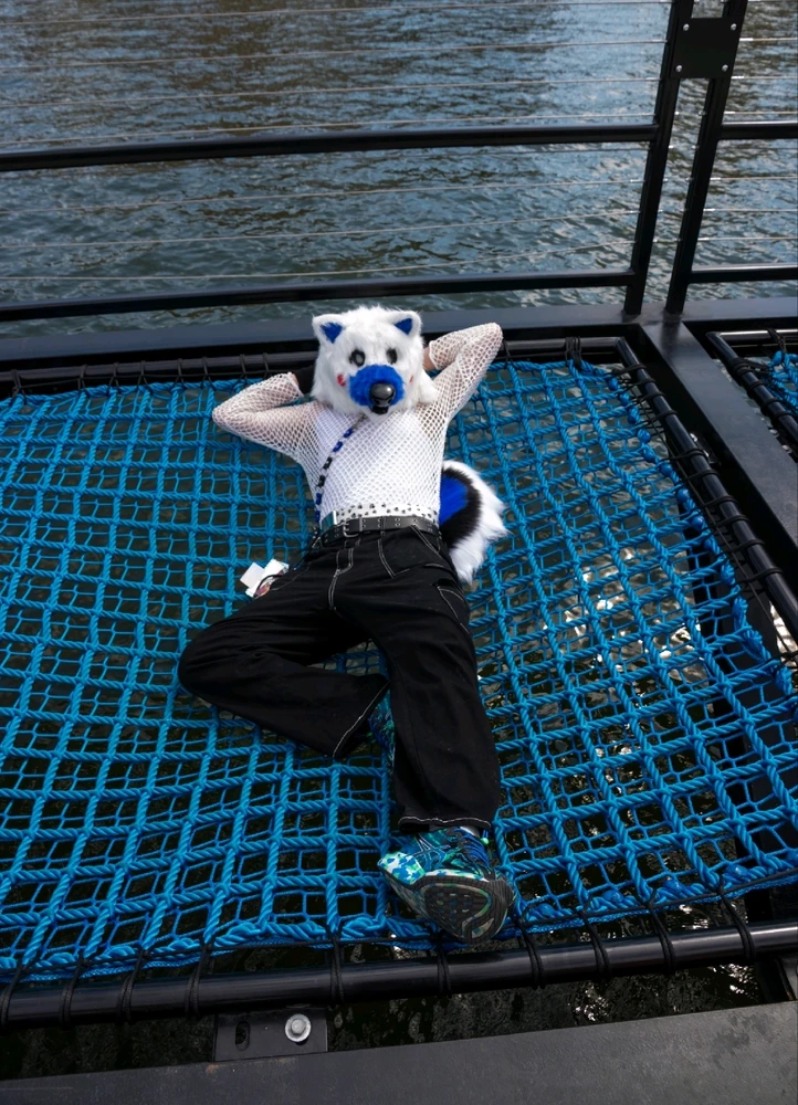 Just a fox relaxing above the city river!