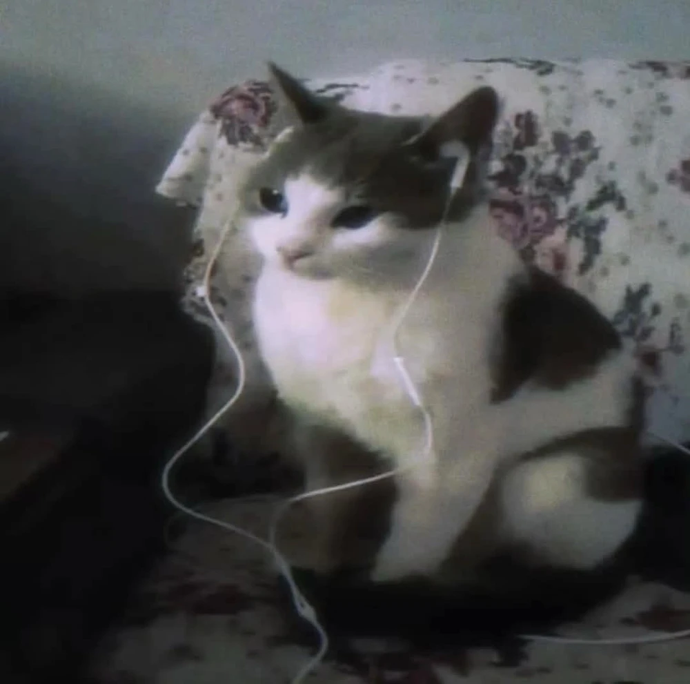 What’s your song of the day?