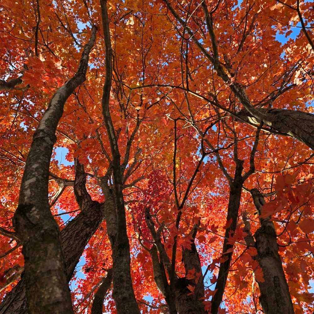 GIF uploaded by William