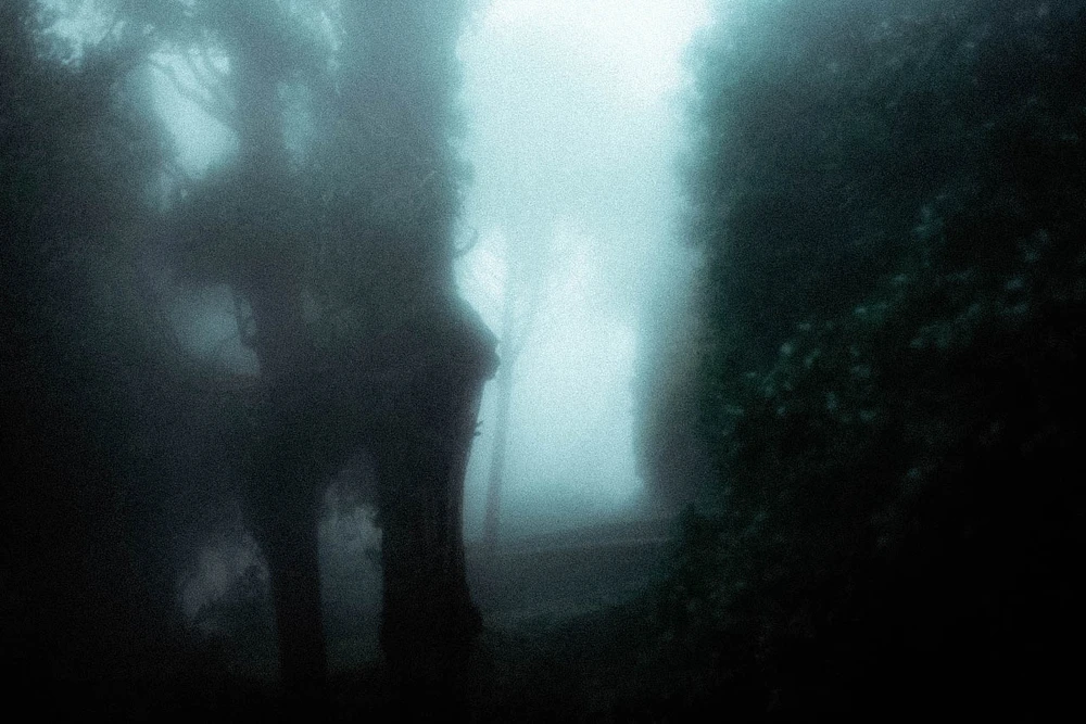 Image uploaded by Nox