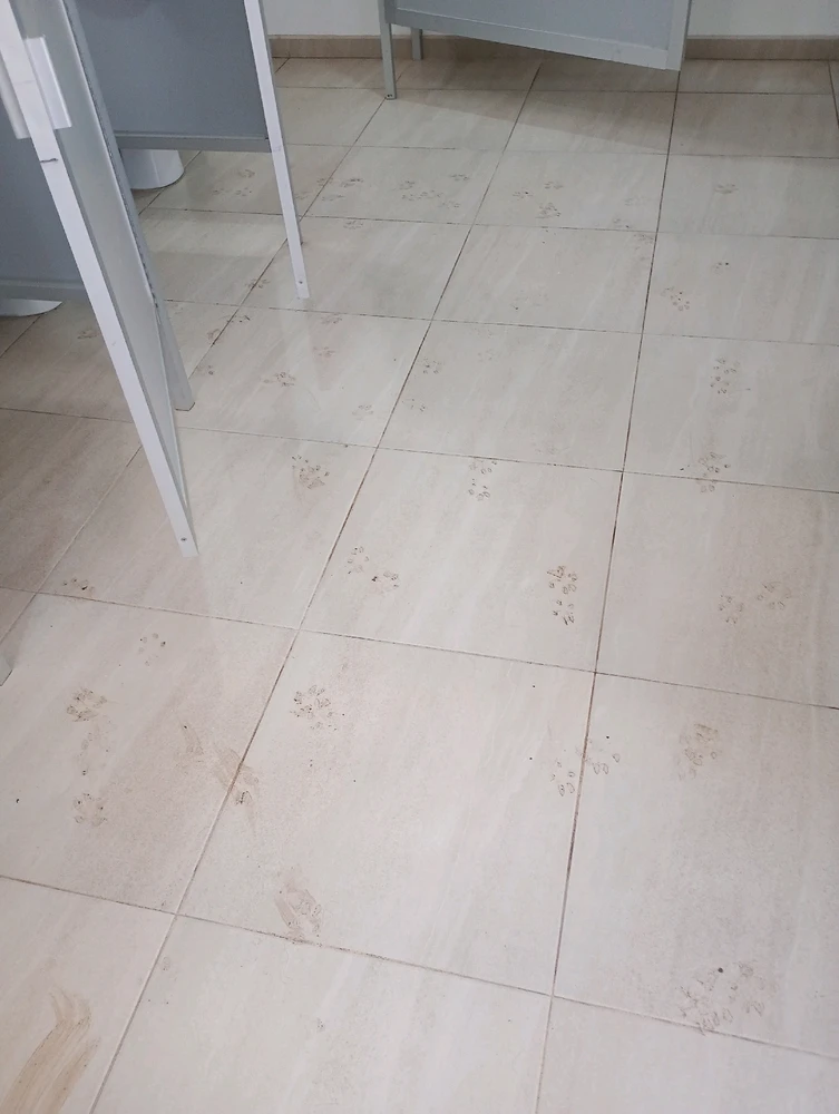 Someone thought it was open bar