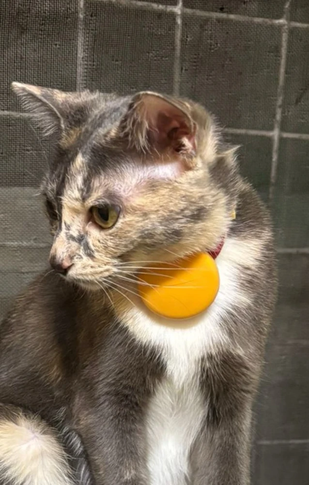 Barely two years and already balding