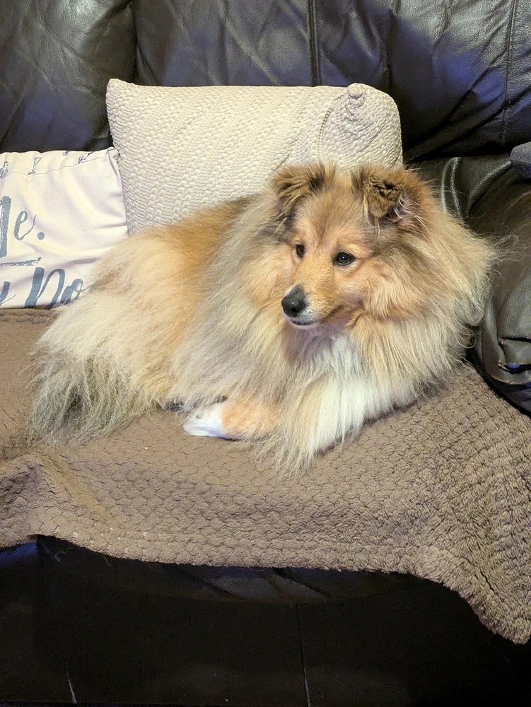 Never seen her so into a anime