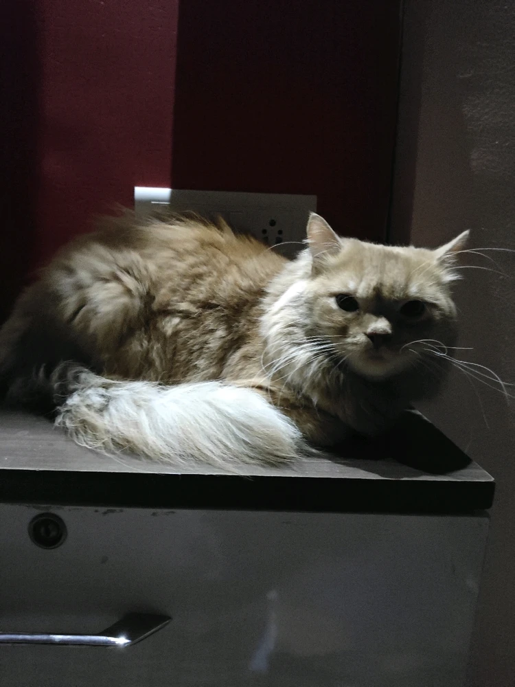 This guys doesn't sleep and also don't let me sleep ππ