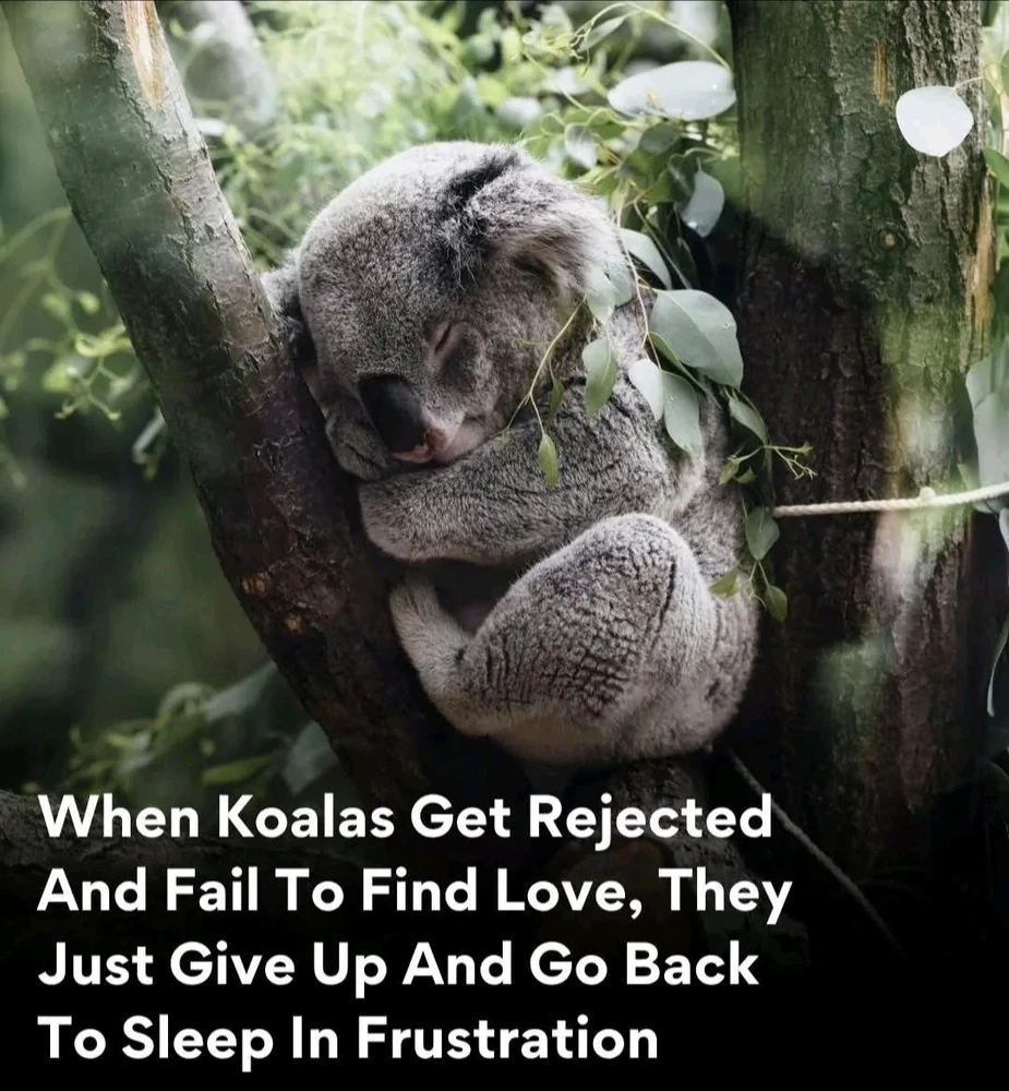 Me too buddy, me too