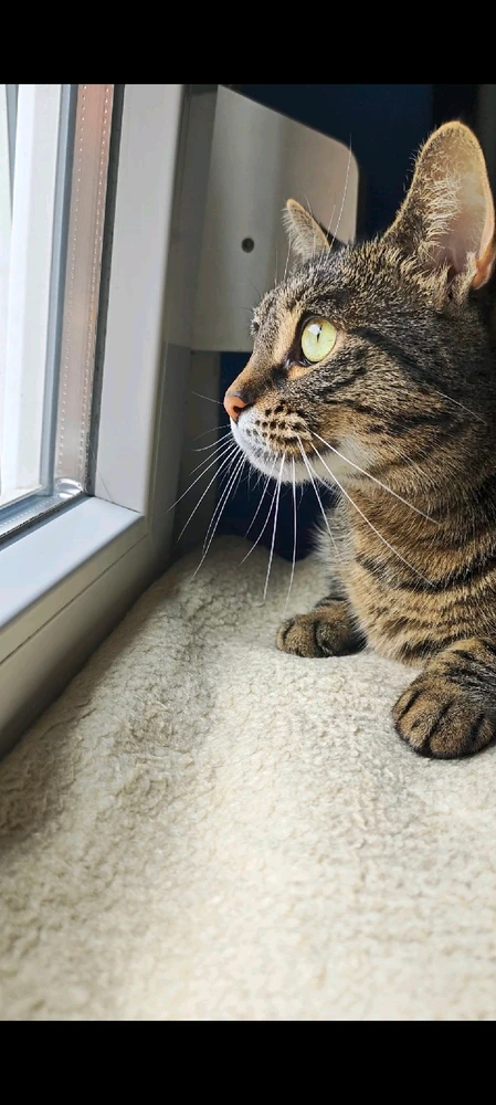 András által feltöltött GIF