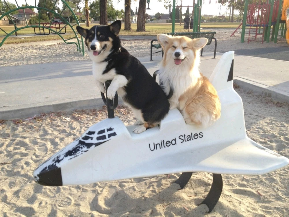 Cowboy Beebop (1998)