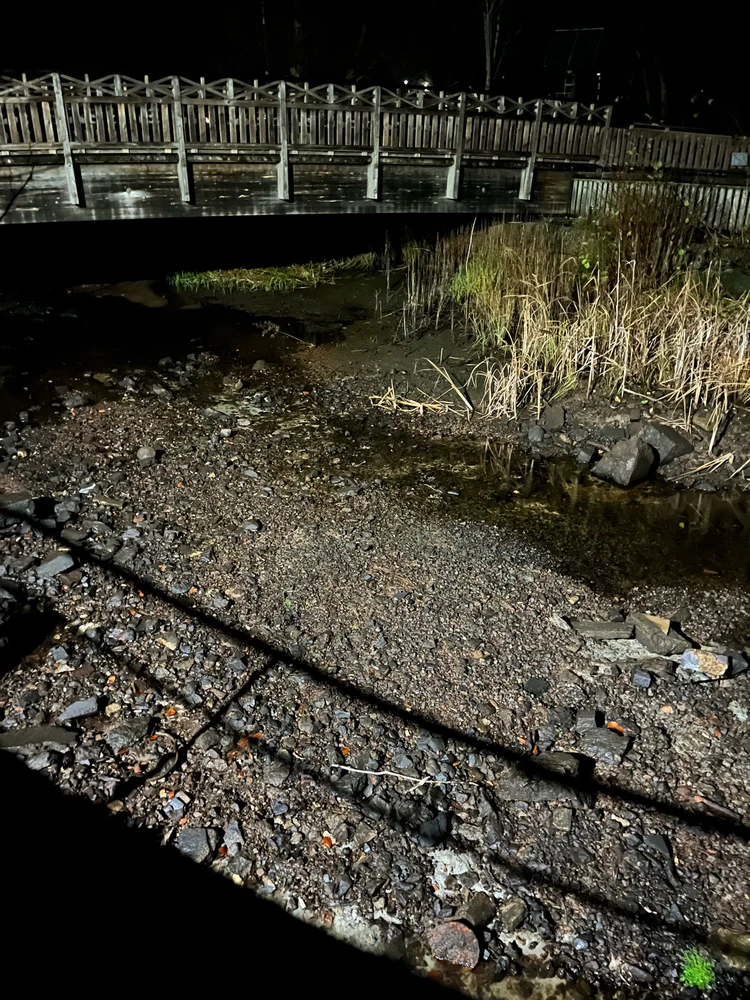 Evening walk in town