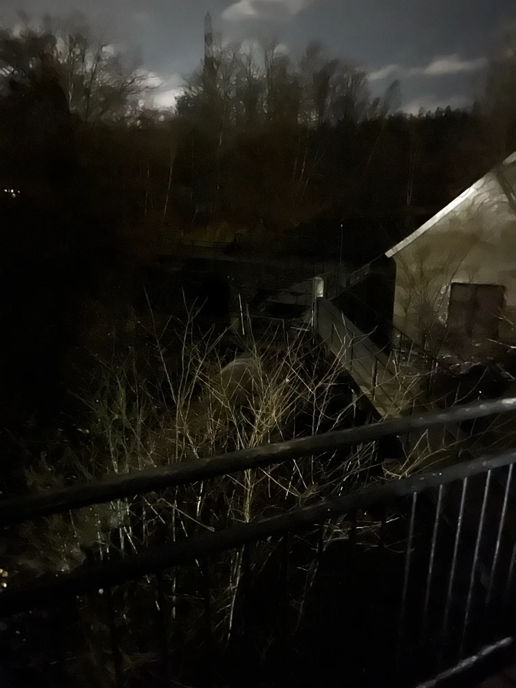 Evening walk in town