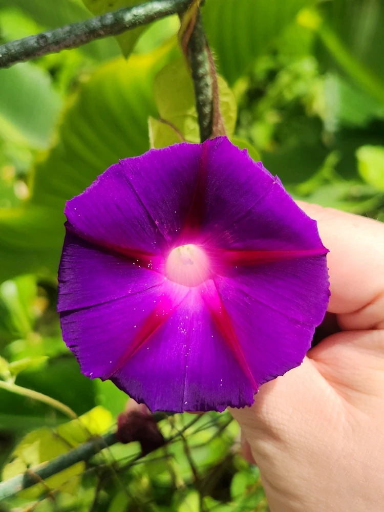 GIF subido por Julio