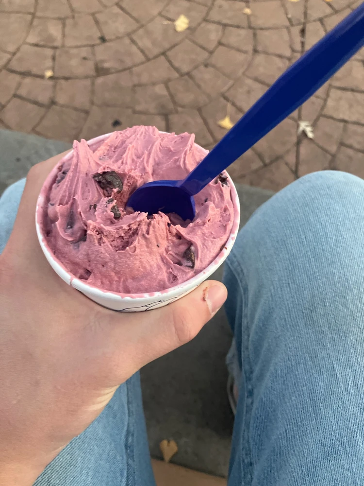 Black cherry chocolate chunk ice cream