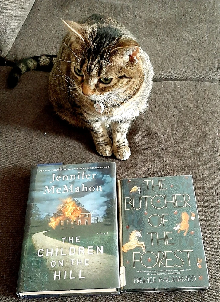 Currently reading 📚