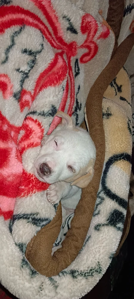 Hiten Hu द्वारा अपलोड की गई तस्वीर