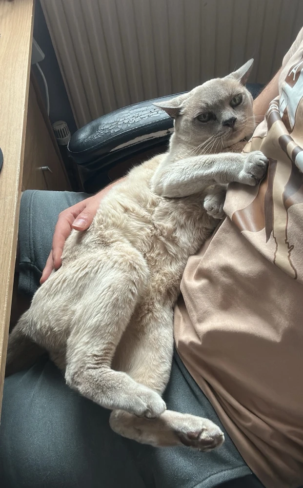 Heβs an old man I swear