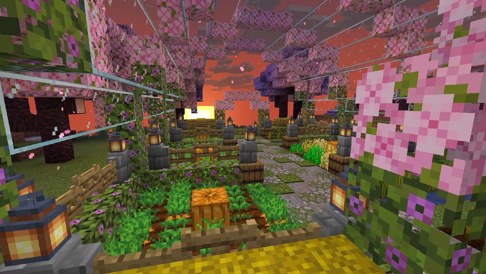 A hortinha que eu fiz🤧