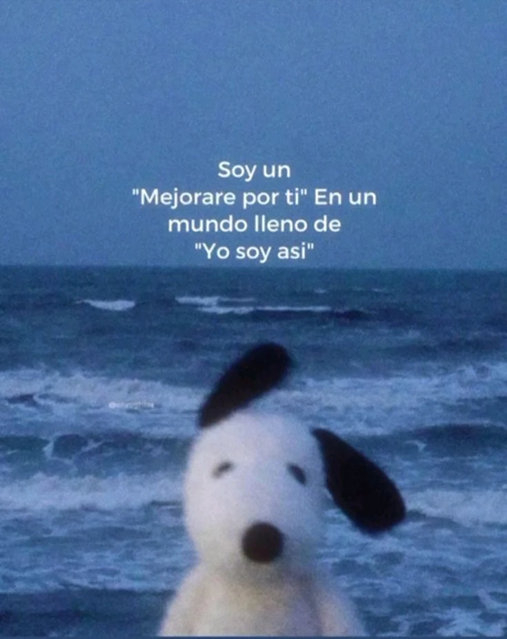 GIF subido por Carolina