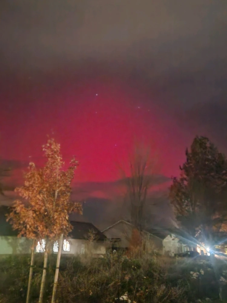 Image uploaded by Celeste Ward