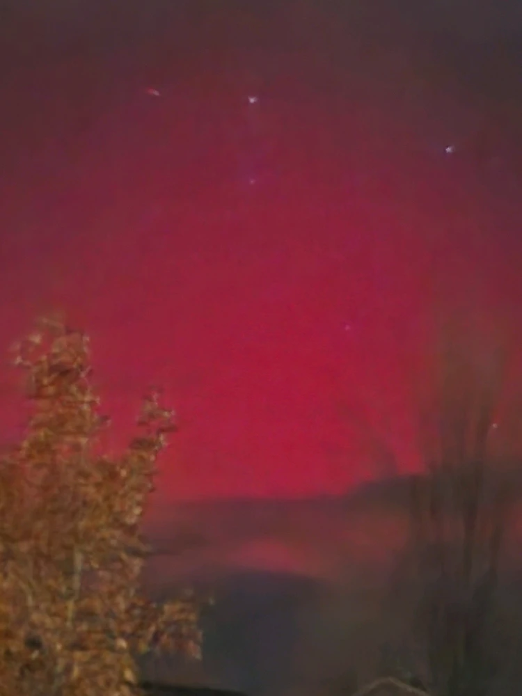 Image uploaded by Celeste Ward