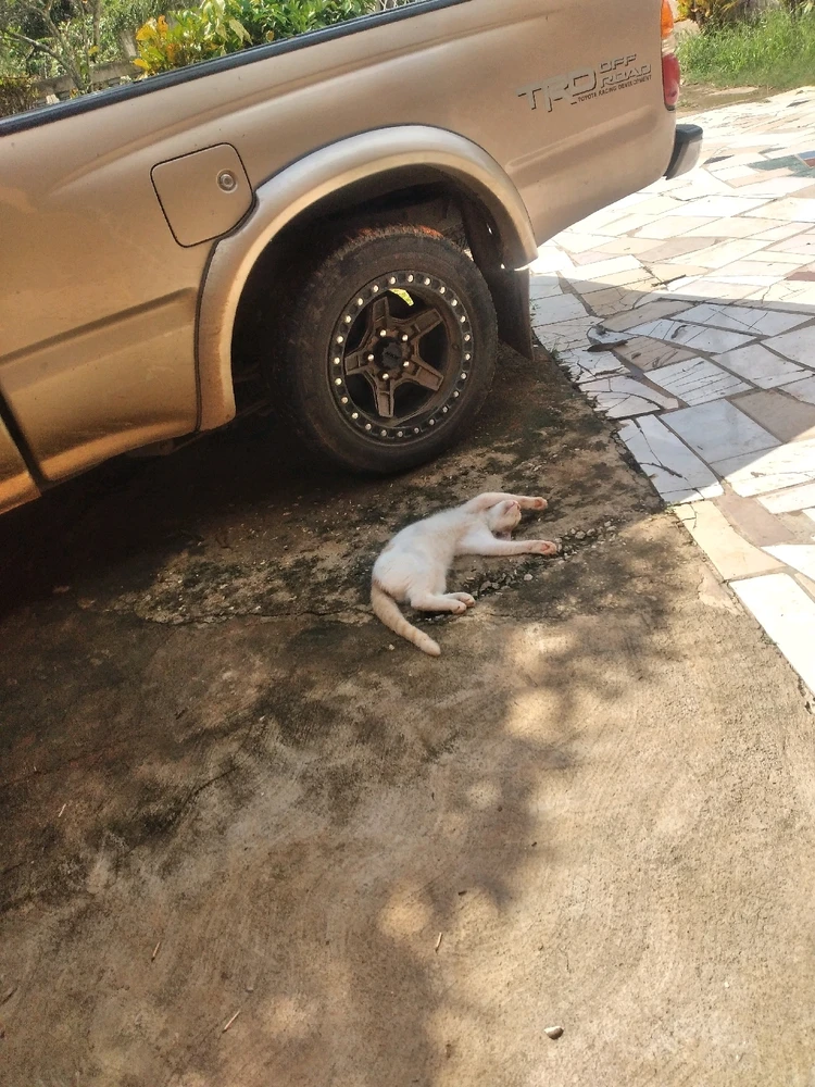 Peui has no care in the world π©πππ
She's so cute omgggggggggguhhhhhdughhhππ₯°ππ