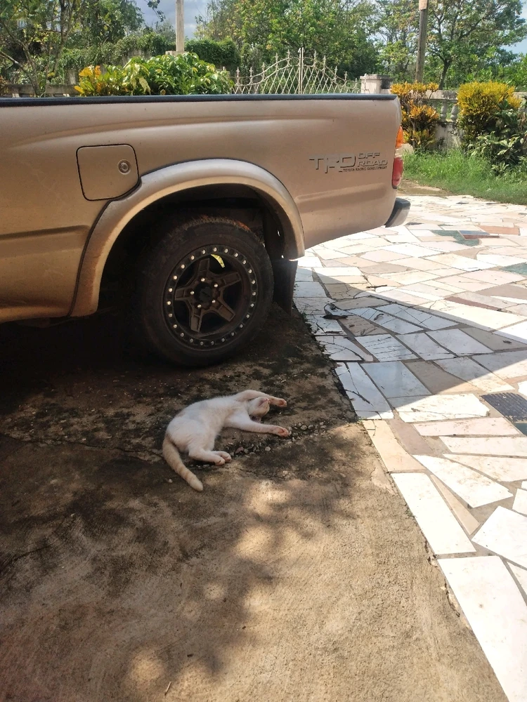 Peui has no care in the world π©πππ
She's so cute omgggggggggguhhhhhdughhhππ₯°ππ