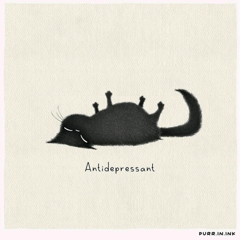 Some are a bit darker than usual, enjoy anyway!