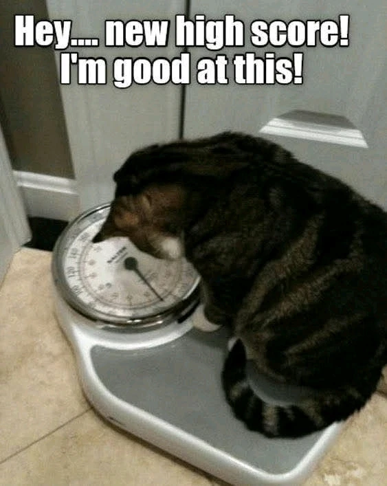 Some are a bit darker than usual, enjoy anyway!