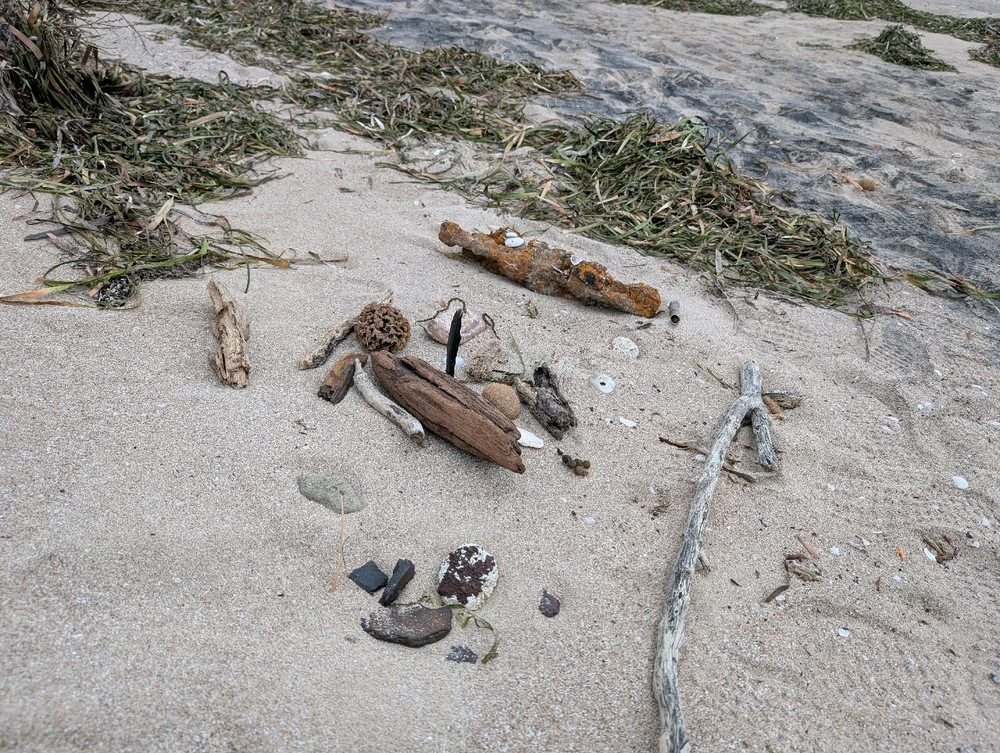 I found some treasure at the beach