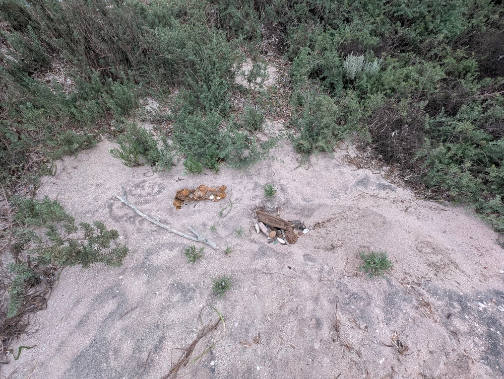 I found some treasure at the beach