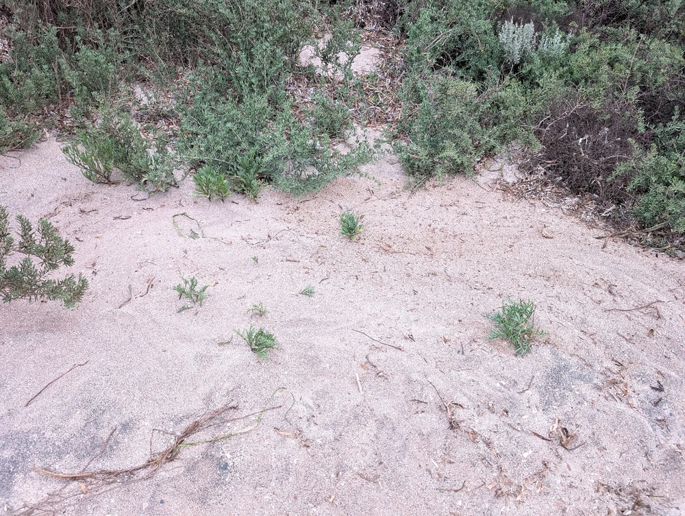 I found some treasure at the beach