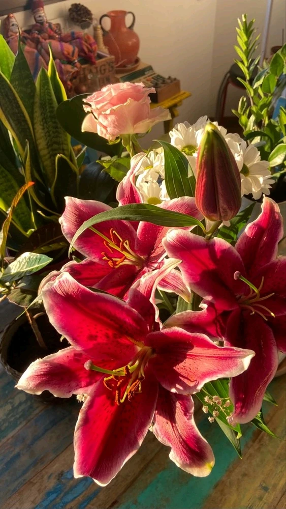 GIF uploaded by Genevieve