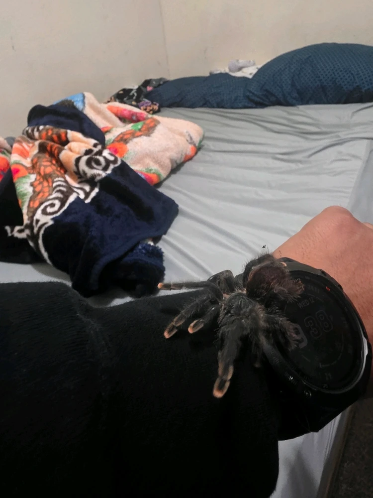 GIF uploaded by Alejandro