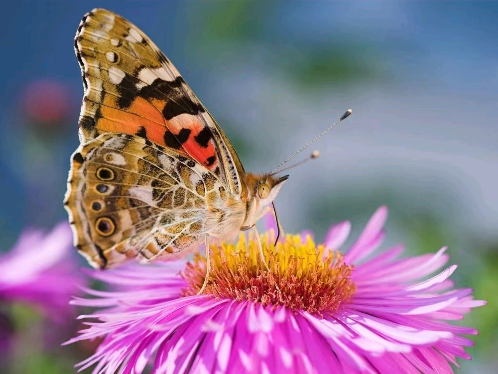 GIF uploaded by Alex