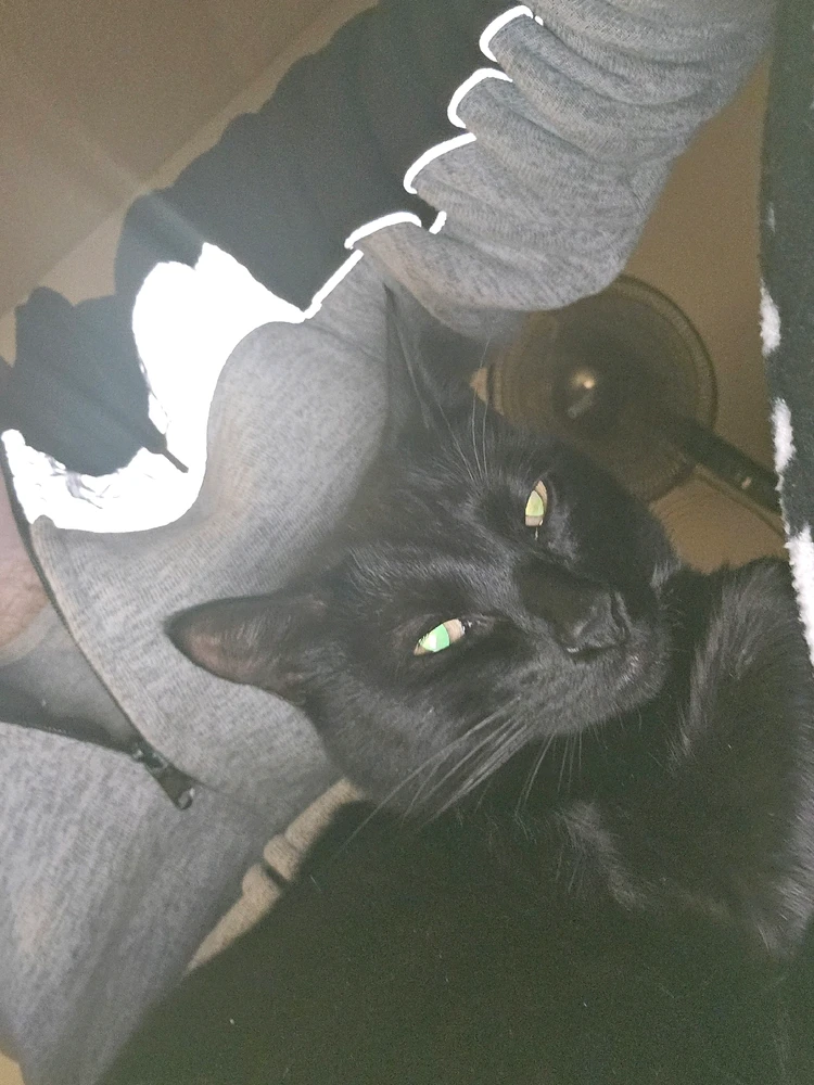 GIF uploaded by Jacob