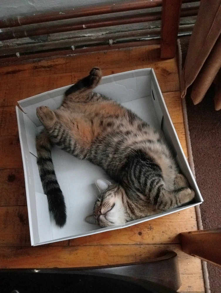 GIF încărcat de Mihai