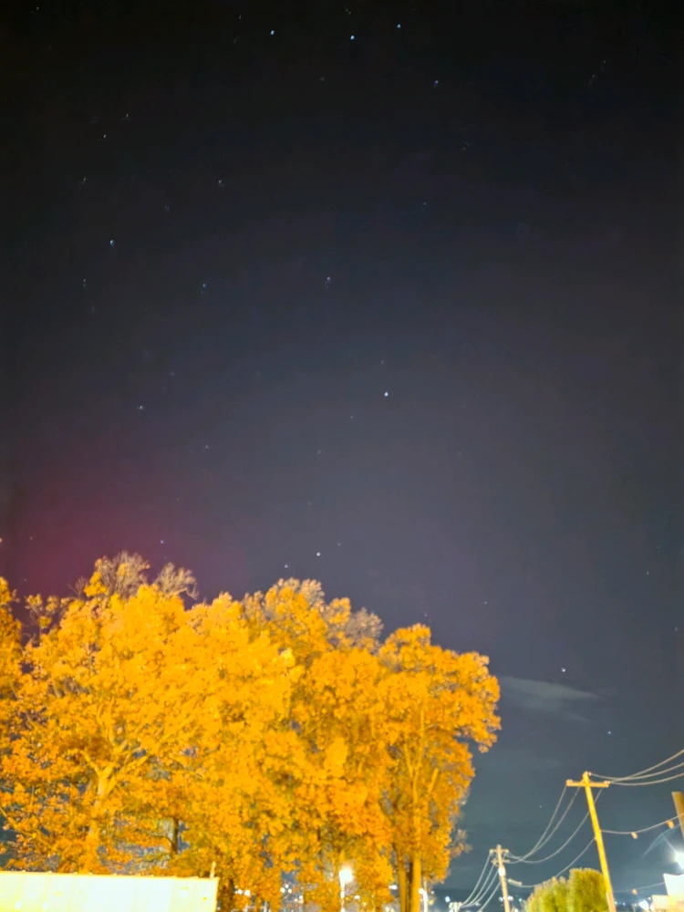 Image uploaded by Rich