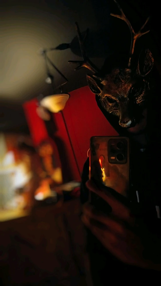 Night of the deer 👀🖤