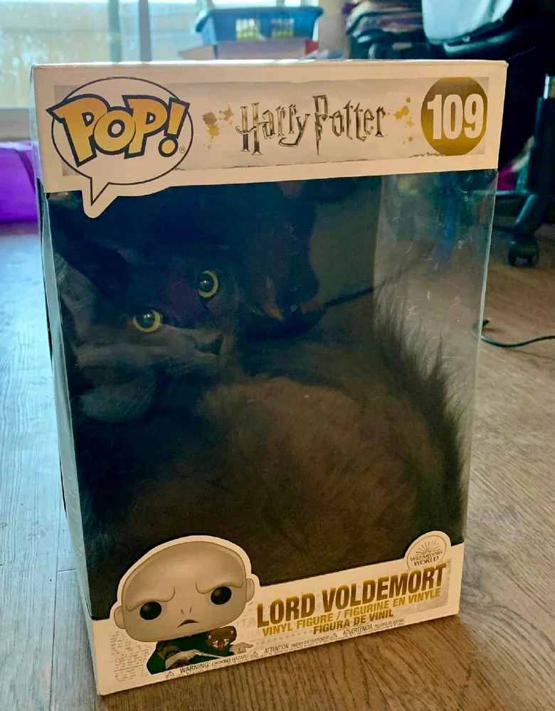 GIF caricata da LunaStorta