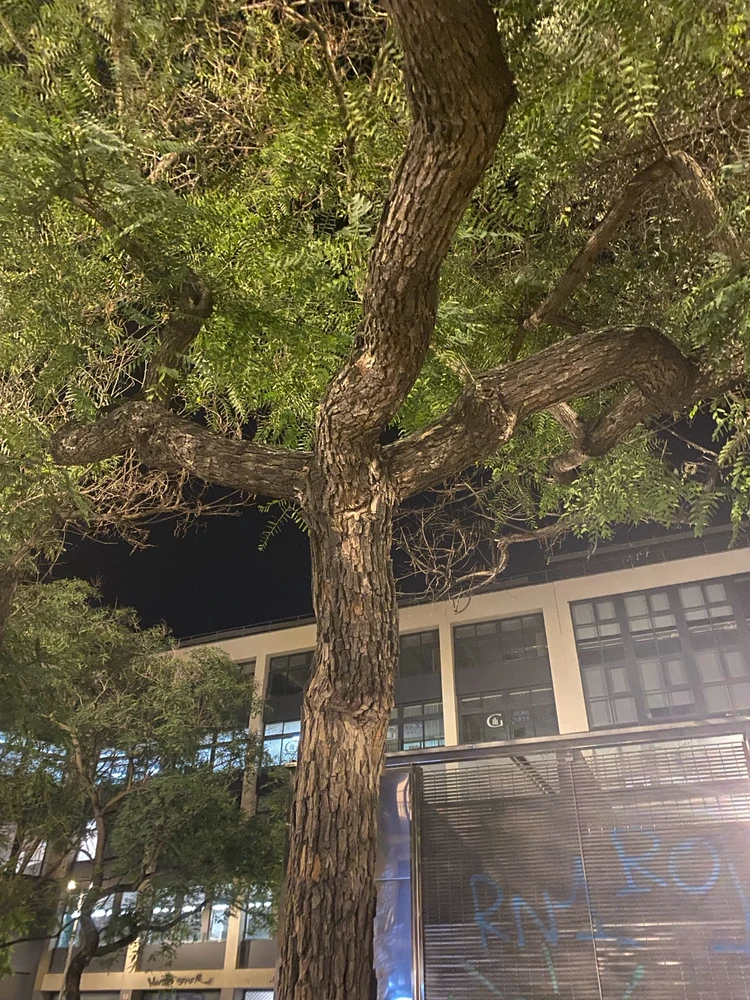 Imatge pujada per Martu