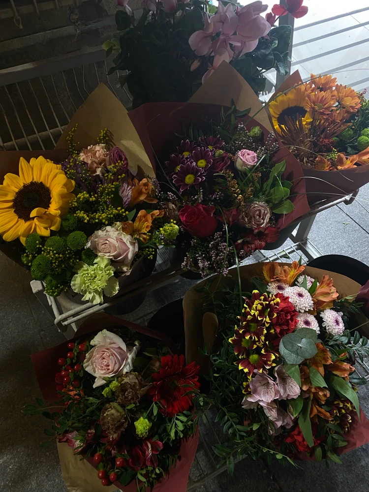 Imatge pujada per Martu