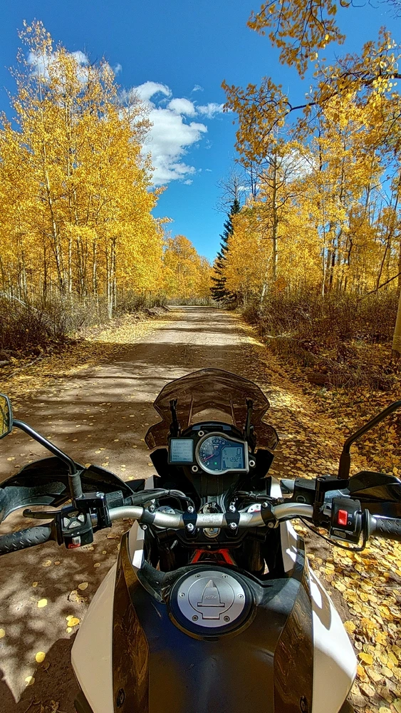 GIF uploaded by Steven