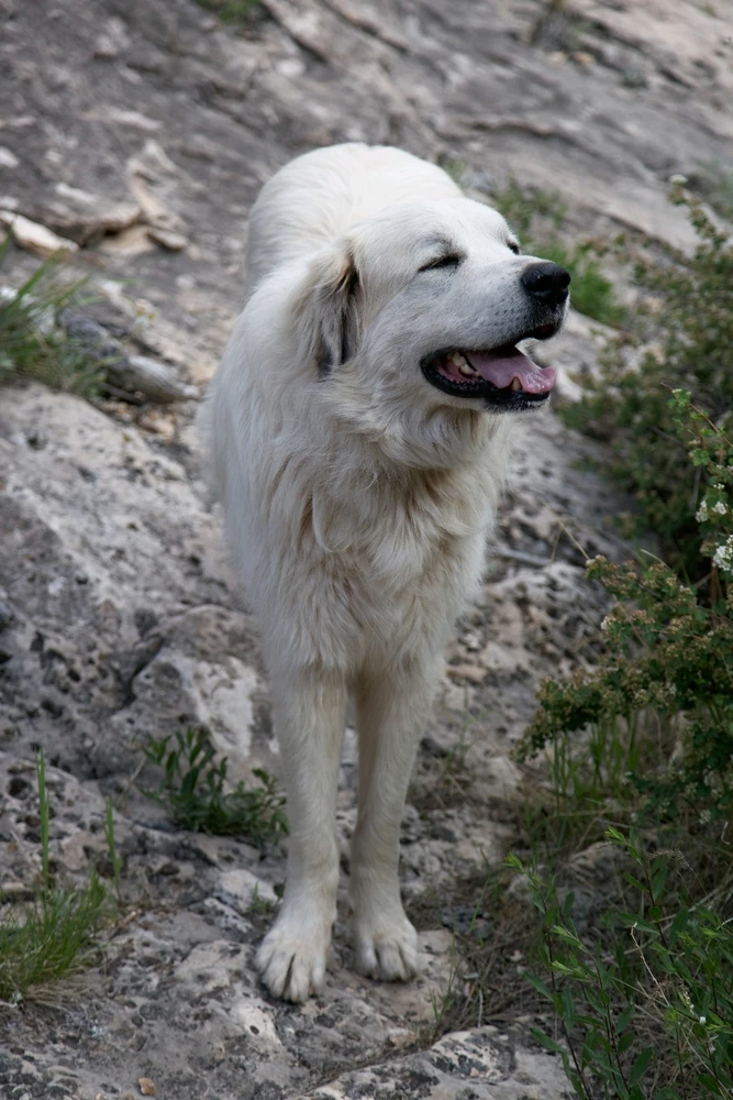 GIF uploaded by Steven