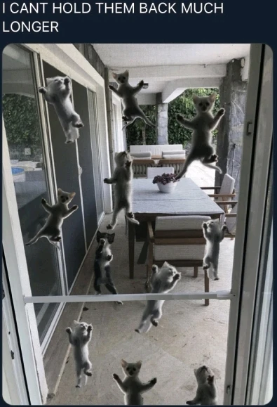 You wake up and see this what would you do?