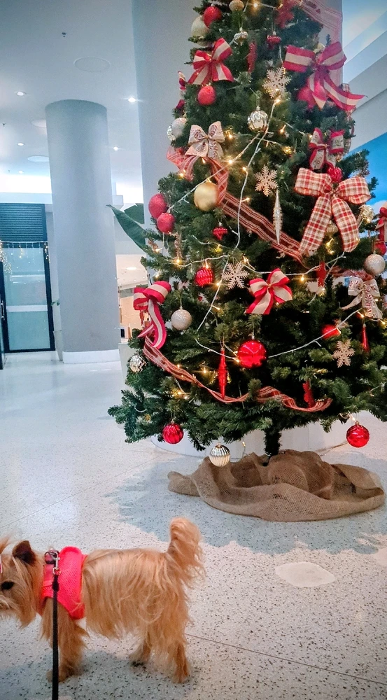 GIF enviado por Kelly