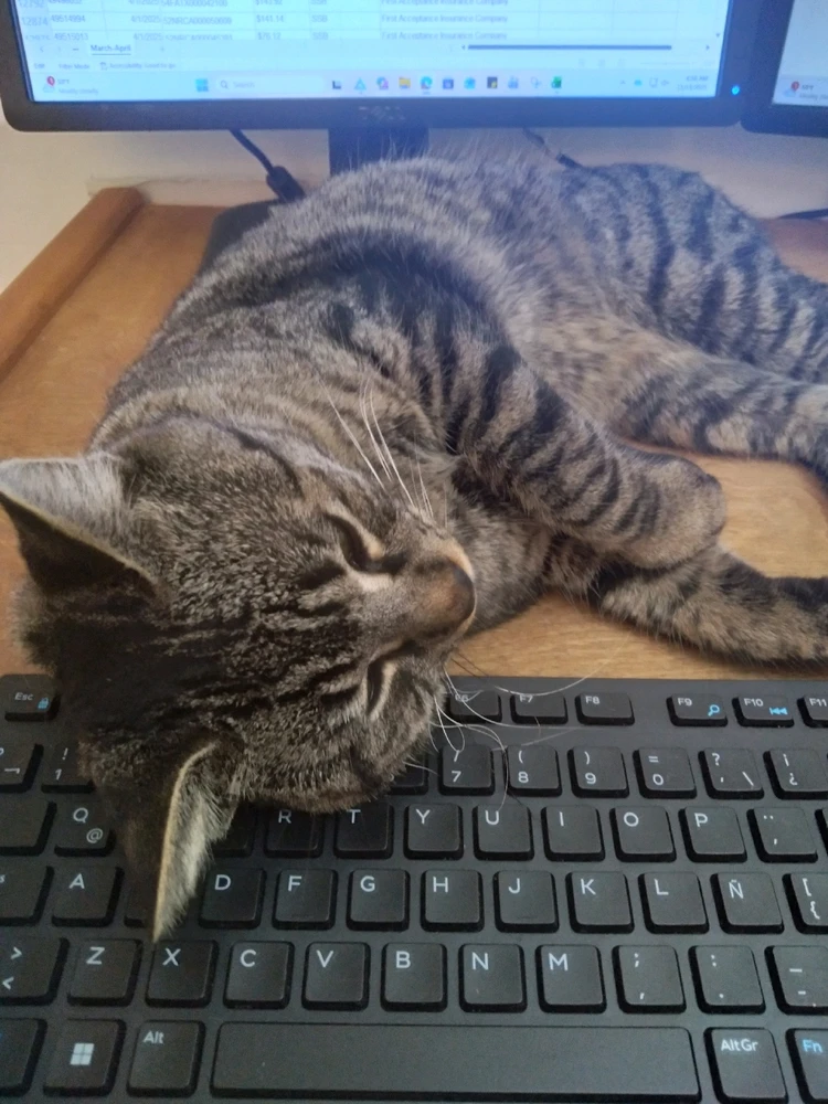 He needs to get ready,get coffe,start working ......but 5 more minutes.