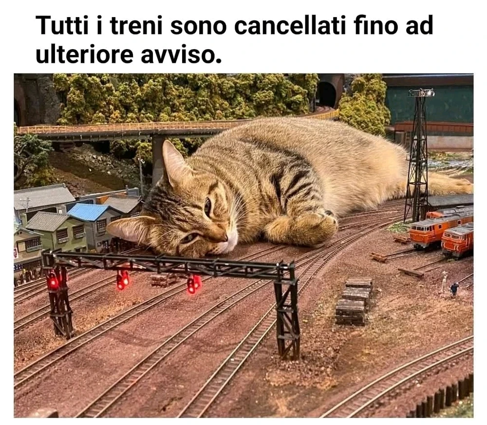 GIF caricata da LunaStorta