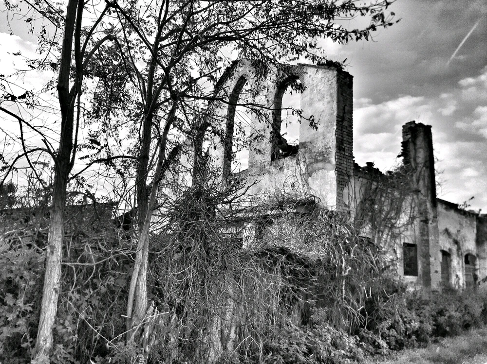 GIF caricata da Claudia