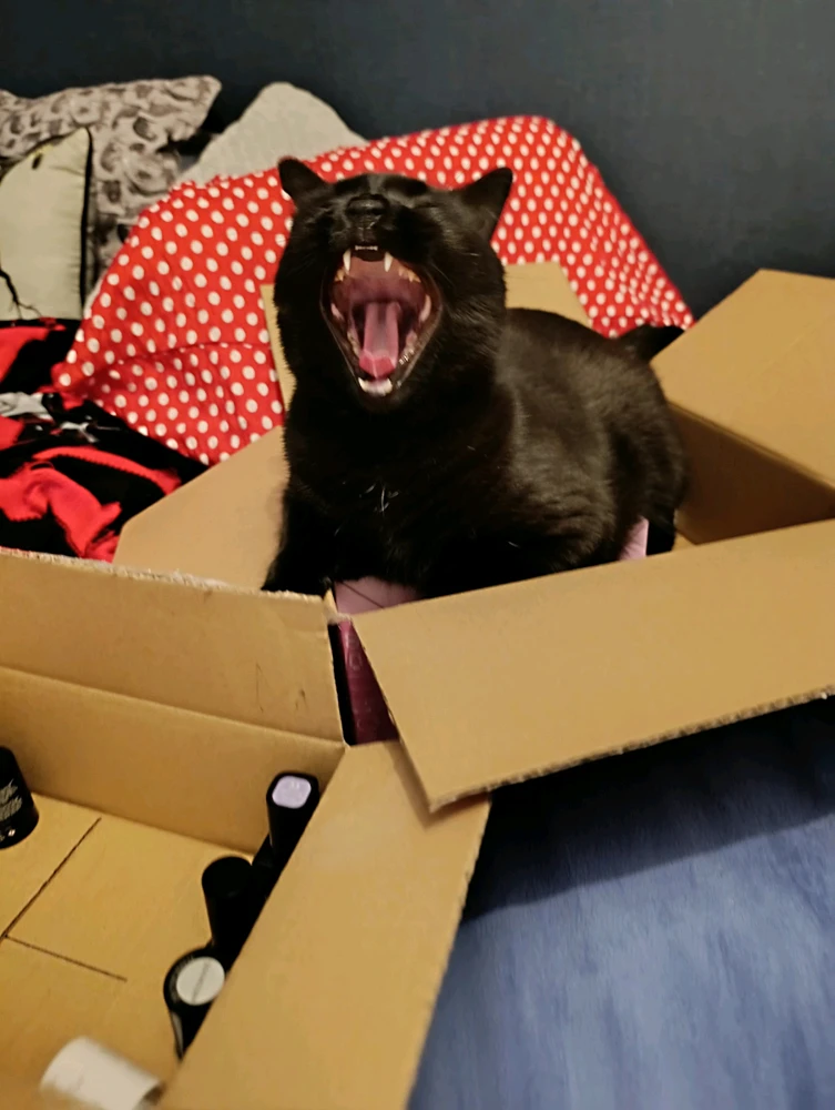 GIF nahrál ⭕⭕ Hlubina